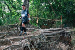 BIB: 
                            <button type="button" onclick="openModal(27720442)" class="btn btn-primary btn-sm float-right btn-popup" data-toggle="modal" data-target=".modal-high-quality">
                        <i class="fas fa-shopping-cart"></i> Add to Cart
                    </button>
                                            <button type="button" onclick="isThisMe(27720442, true)" class="btn btn-success btn-sm float-right btn-popup btn-isme hidden" data-toggle="tooltip" data-placement="bottom" title="นี่คือรูปของคุณใช่ไหม คลิกที่นี่เพื่อเอาเข้าอัลบั้ม">
                        <i class="fas fa-plus"></i> Add to album
                    </button>
                    <button type="button" onclick="isThisMe(27720442, false)" class="btn btn-warning btn-sm float-right btn-popup btn-isnotme hidden">
                        <i class="fas fa-ban"></i> Remove from album
                    </button>